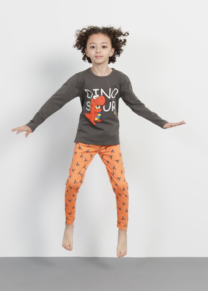 Kids Boy Dinosaur Printed Two-Pieces Pajama