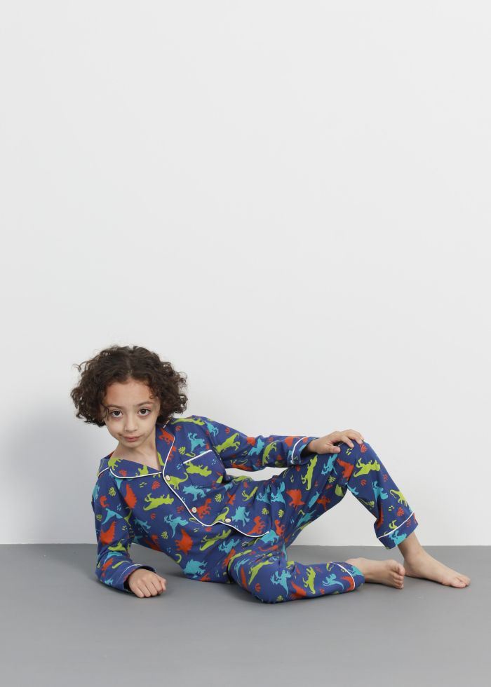 Kids Boy Dinosaurs Design Printed Two Pieces Pajama